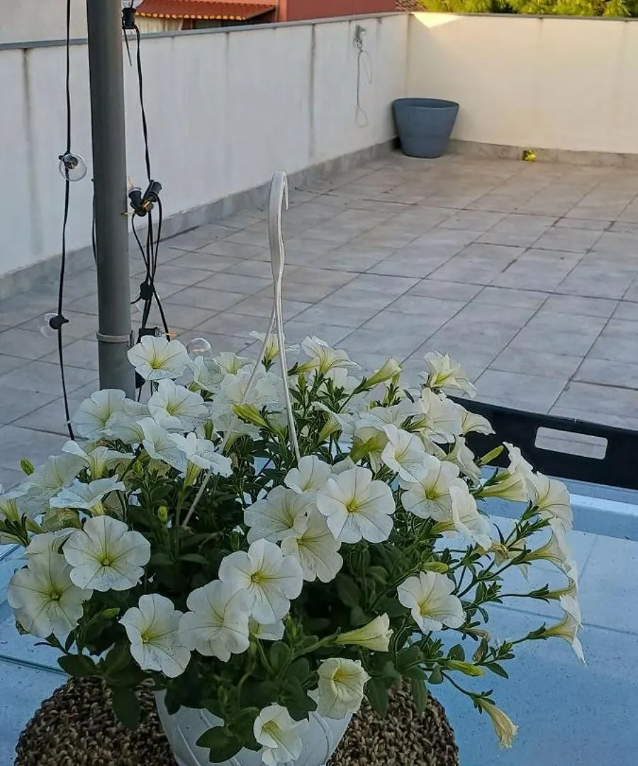 Grecale House Apartment Catania