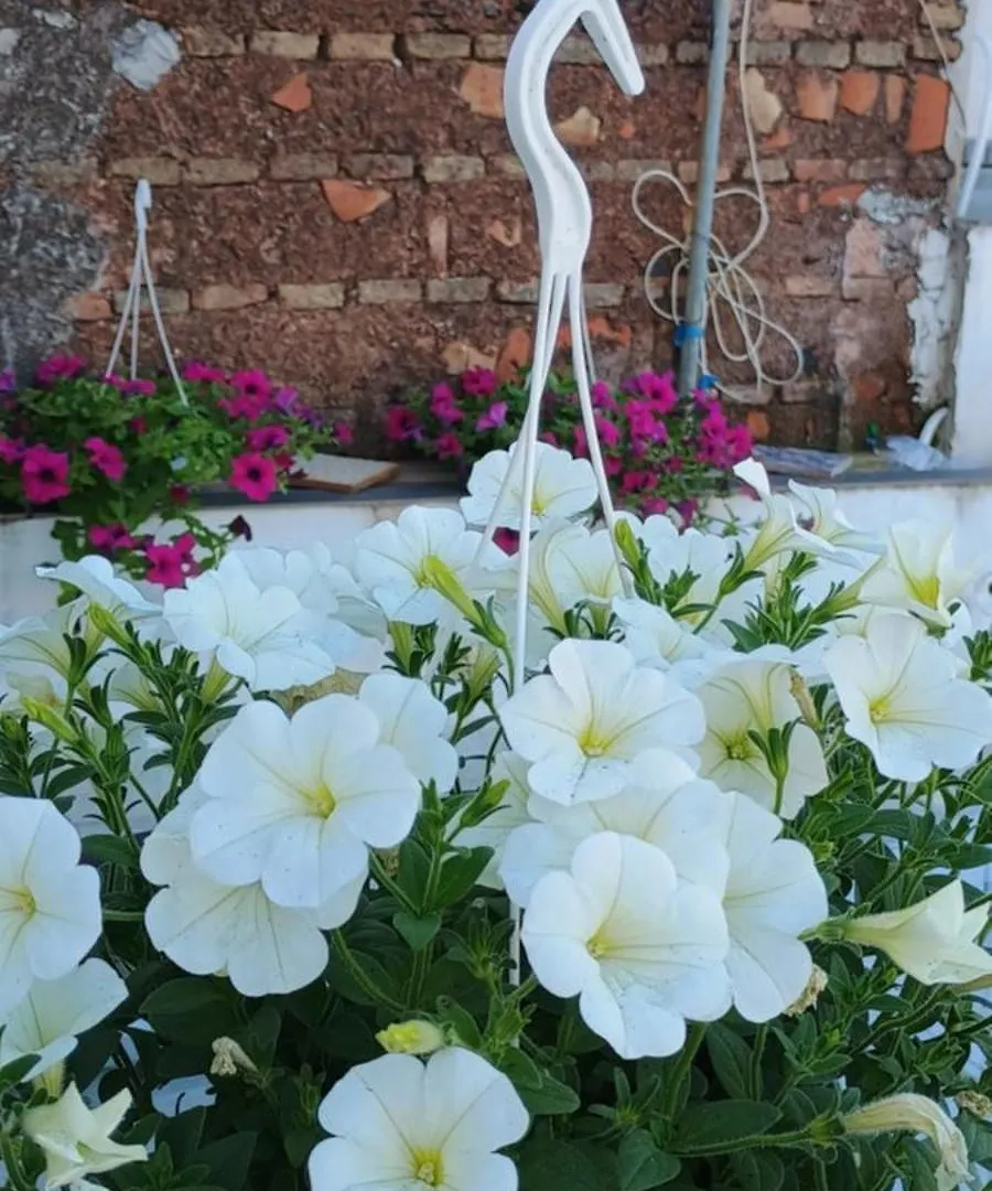 Grecale House Apartment Catania Italy
